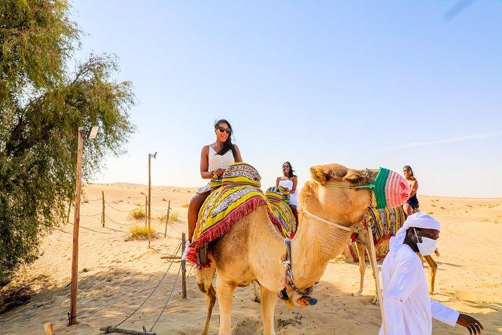 Dubai Self-Drive Quad Bike, Camels, Stargazing & 5* BBQ Al Khayma