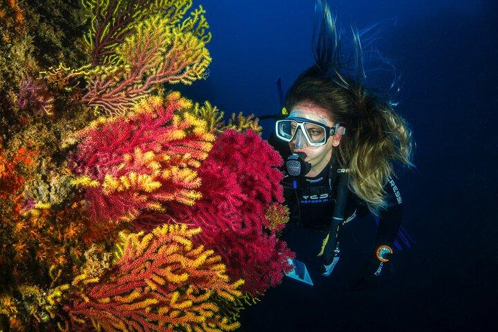 Guidet Scuba Diving Adventure i Jumeirah Dubai