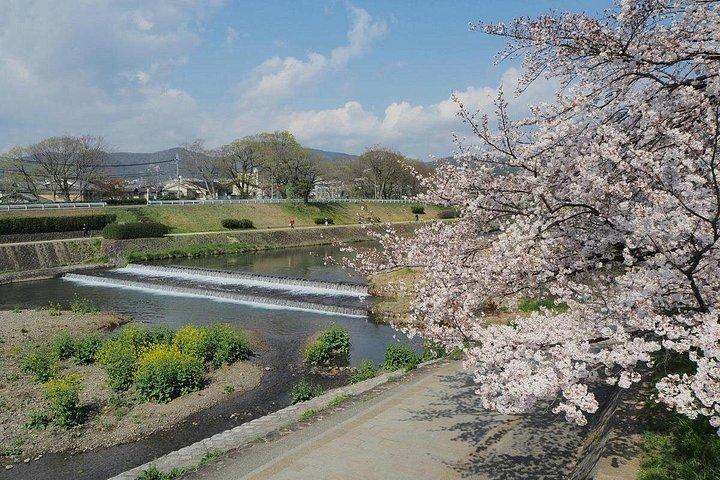 プライベートロマンチックウォーキングツアー京都祇園と神社