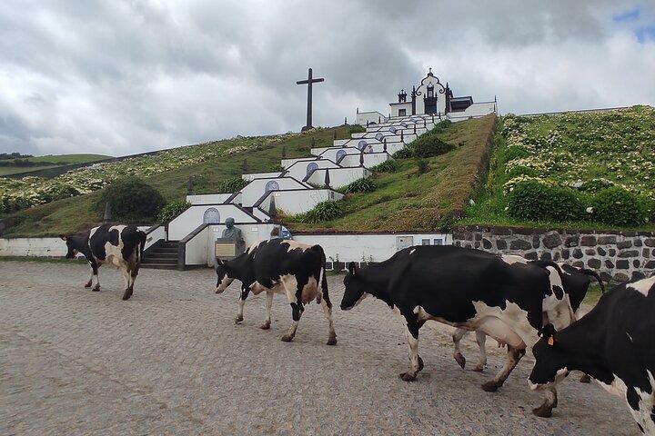 Private Custom Tour in São Miguel Island