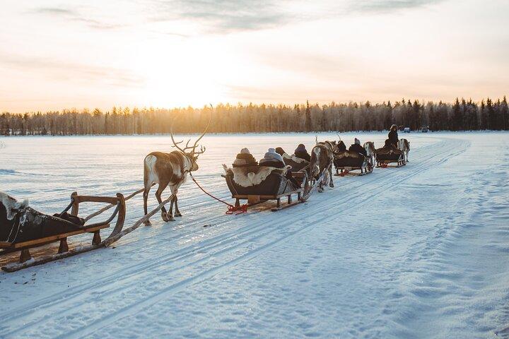 Apukka Reindeer Journey