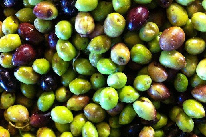 Crete: Olive Oil, Soap, Wine, Raki - Flavorful Culinary Journey