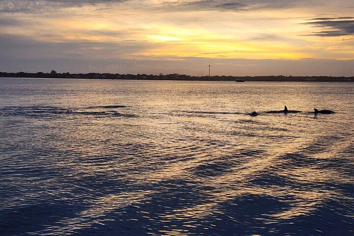 Excursion privée en bateau d'une journée ou au coucher du soleil à Saint Augustine, 6 passagers maximum