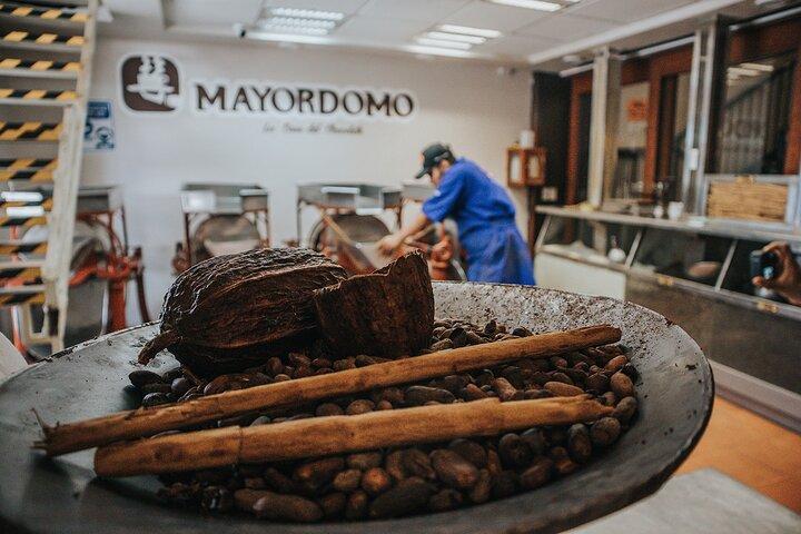 オアハカ市ウォーキングツアー - 市場、織物博物館、ランチ