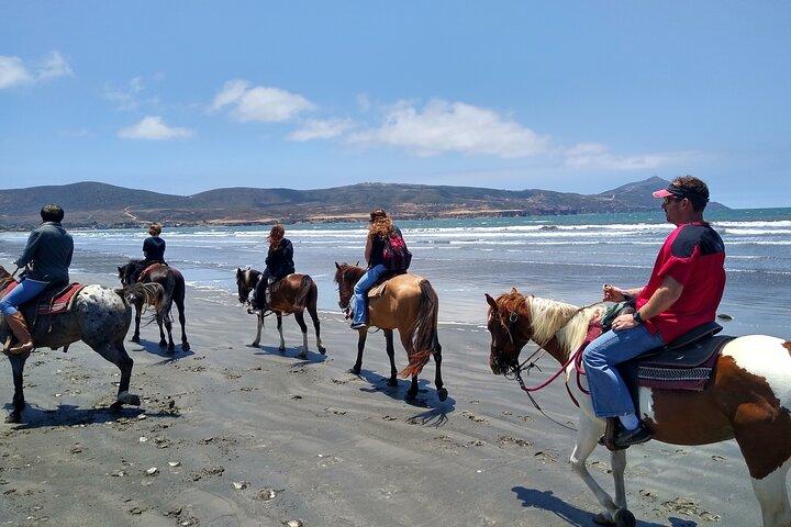 Paardrijden op het strand van Ensenada