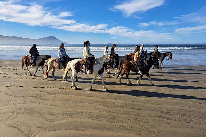 Ridning på stranden fra Ensenada