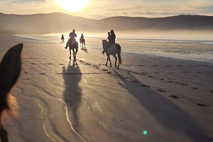 Équitation sur la plage d'Ensenada