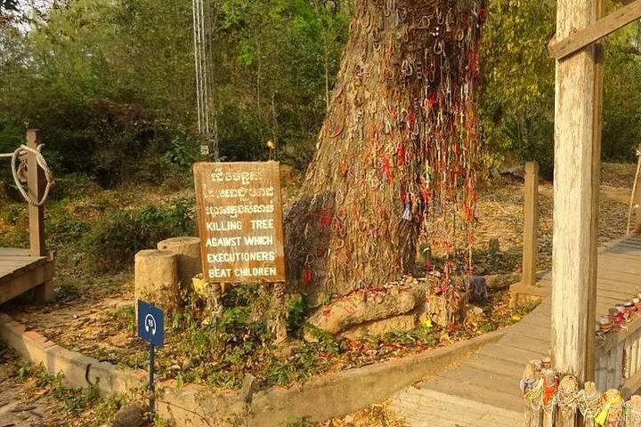プノンペン ツアー、王宮、虐殺博物館、キリング フィールド