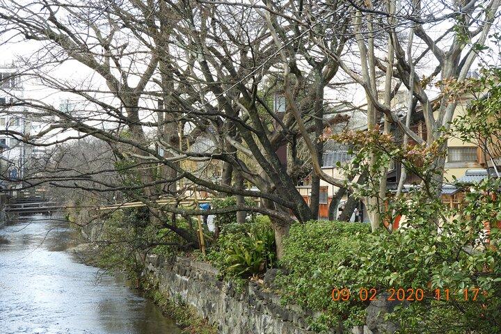 Visite guidée privée de 2 heures à Gion : Découvrez le quartier Geisha de Kyoto
