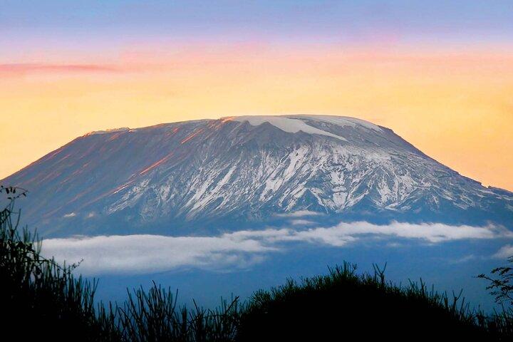 6-daagse Kilimanjaro-klimmen via Rongai-route