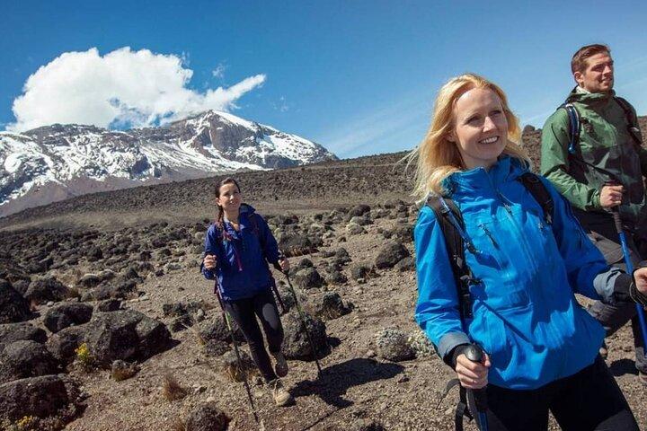 7-dages Kilimanjaro-klatring Via Lemosho-ruten