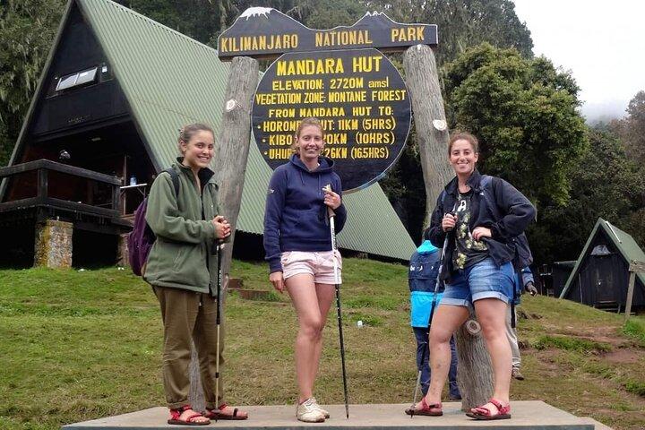 Excursión de senderismo de día completo a Mandara Hut en Kilimanjaro