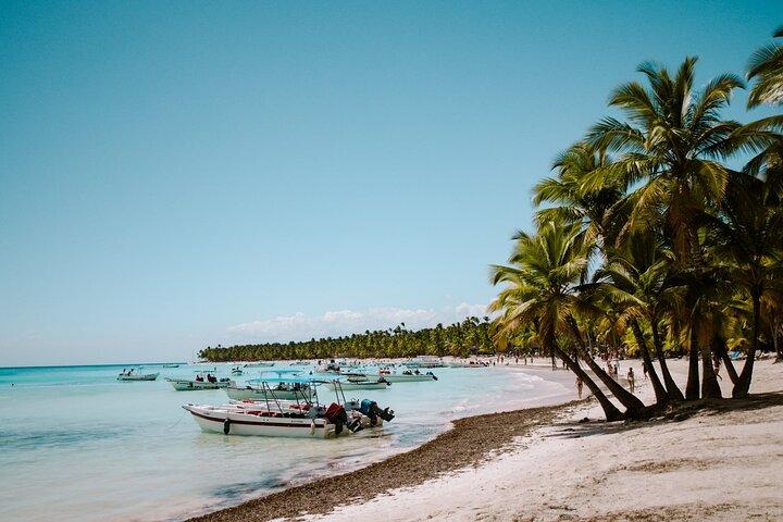 Gita di un giorno all'isola di Saona da Punta Cana con prelievo e open bar