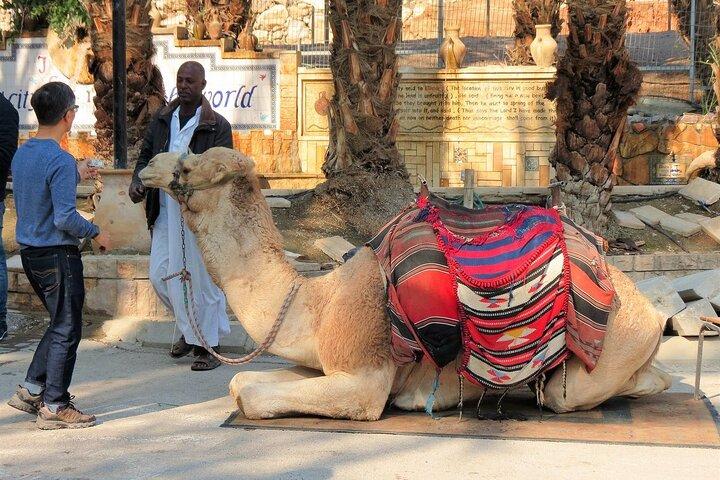 Guided Bethlehem & Dead Sea Tour from Jerusalem -small groups