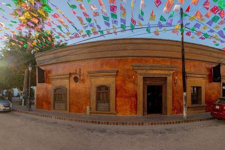 Full-Day La Paz Private Tour from Los Cabos