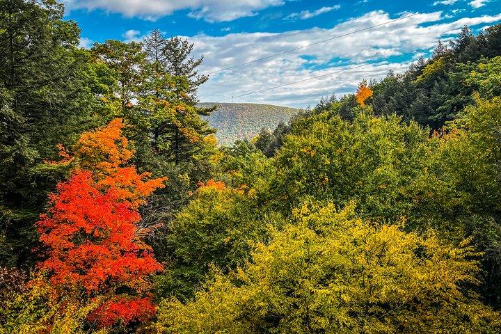 Admissão para atividades de tirolesa em Bristol Mountain