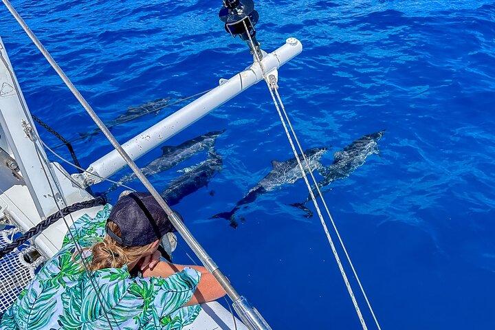 Catamarã de vela privada de luxo de 2 horas em Waikiki para 1-6 pessoas