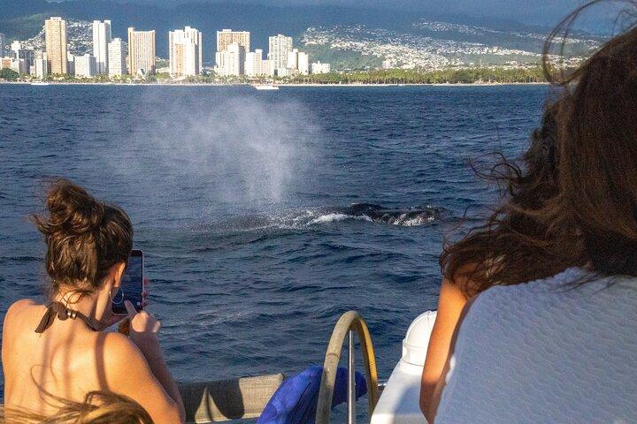 Catamarã de vela privada de luxo de 2 horas em Waikiki para 1-6 pessoas