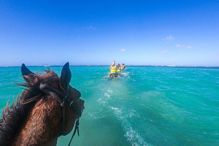Combinatie paardrijden en riviertuben vanuit Montego Bay