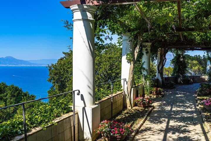 Exclusive Capri, Anacapri & Blue Grotto Private Tour from Naples