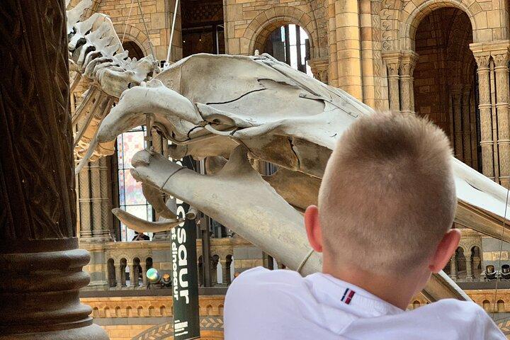 Tour privato per bambini al Museo di storia naturale di Londra con Galleria dei dinosauri