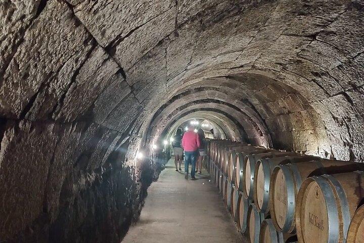 Dégustation de vin privée et visite guidée à Ribera Duero