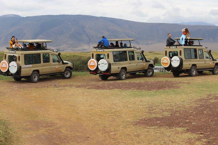 6 dages safari-Tarangire, Serengeti og Ngorongoro-krateret