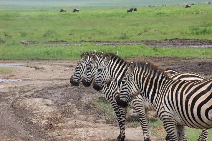 6 dages safari-Tarangire, Serengeti og Ngorongoro-krateret