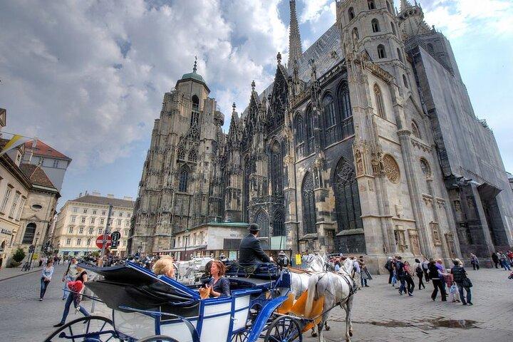 Privat guidet vandretur i Wien by