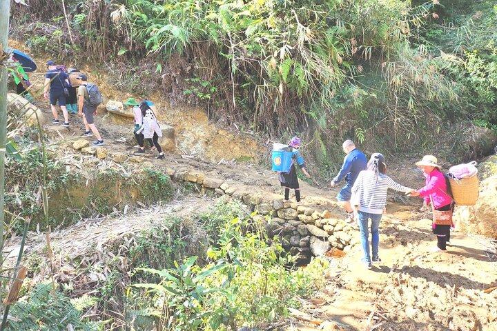 5 uur privé Muong Hoa Valley Trek en etnische stammen vanuit Sa Pa