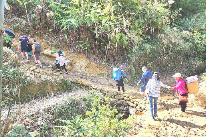 サパ町発 棚田を巡る1日トレッキングツアー
