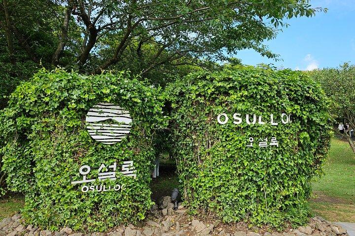 Small group Jeju private Full-Day Tour of East and South and West