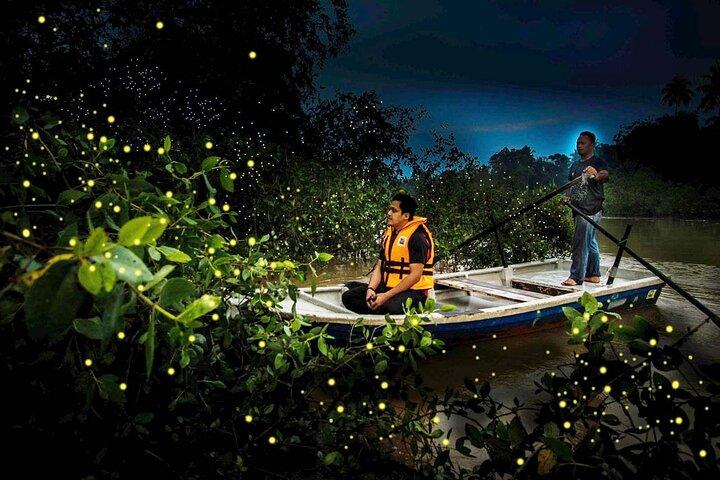 Unglaubliche Firefly Kuala Selangor-Tagestour