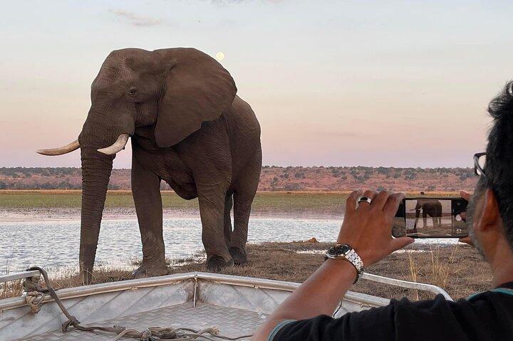 Chobe Full Day Trip