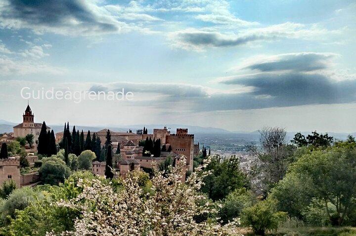 Private Alhambra-Tour: Nasridenpaläste und Generalife