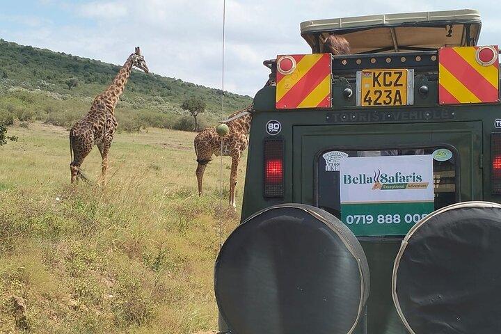 3 - Día Masai Mara Temporada Festiva Safari Navidad y Año Nuevo Safari