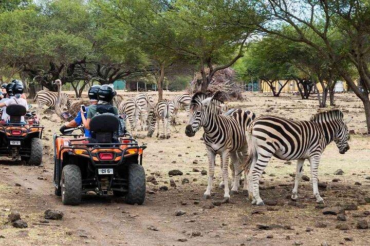 Hoteller i nærheden af SAFARI & TULAWAKA CASELA PARK & LE MORNE
