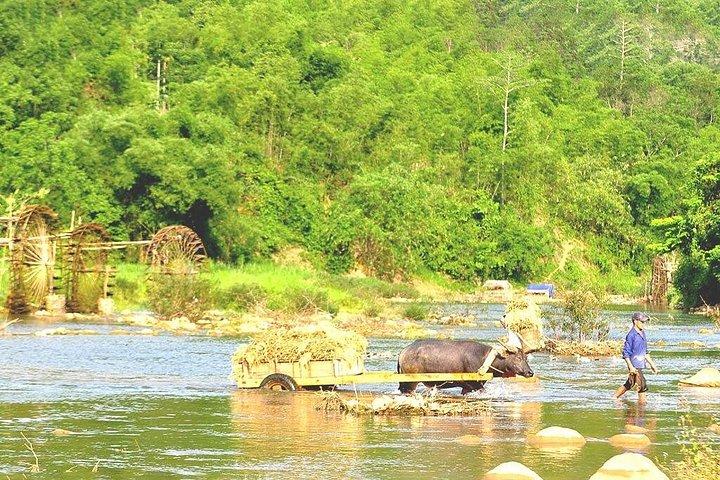 Offbeat Trekking Tour- Pu Luong Nature Reserve 2 days from Hanoi