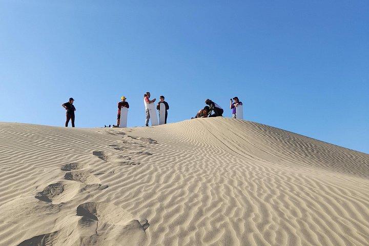 バジェスタス諸島、イカ、ワカチナ、そしてリマ発のセビーチェ教室