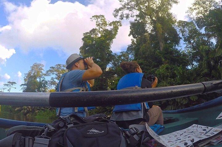 Half-Day / Canoe and Day Walk in to Tortuguero National Park