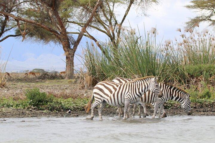 Dagstur til Lake Naivasha og Hell's Gate National Park