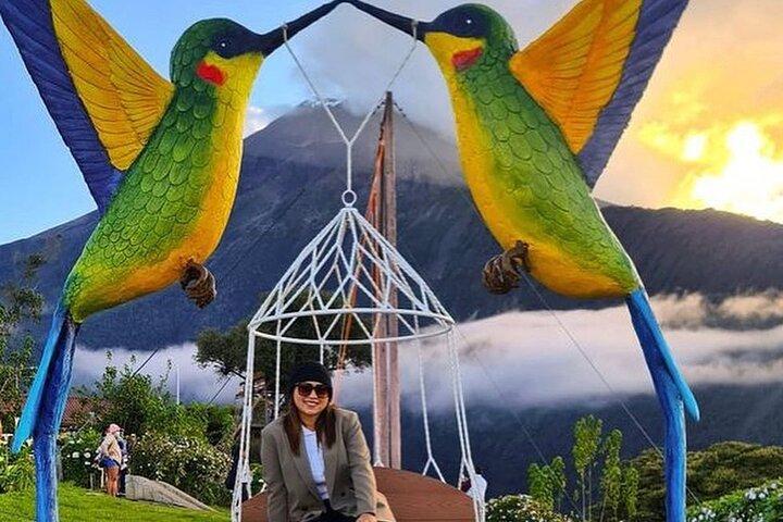 The Tree House - Tours - Swing at the End of the World - Viewpoint