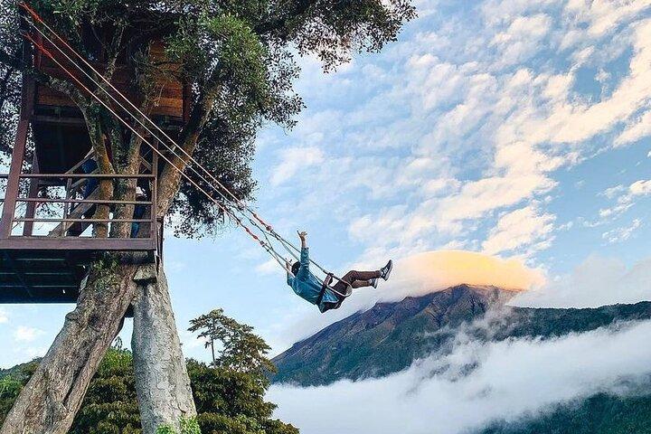 The Tree House - Tours - Swing at the End of the World - Viewpoint
