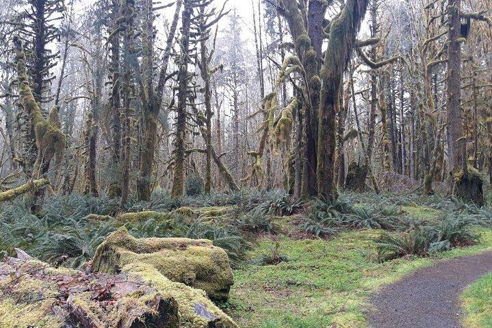 Tour della penisola olimpica e della foresta
