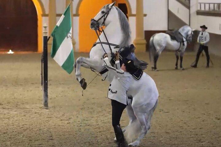 Jerez & Cadiz-wijnmakerij met proeverij en paardenshow uit Sevilla