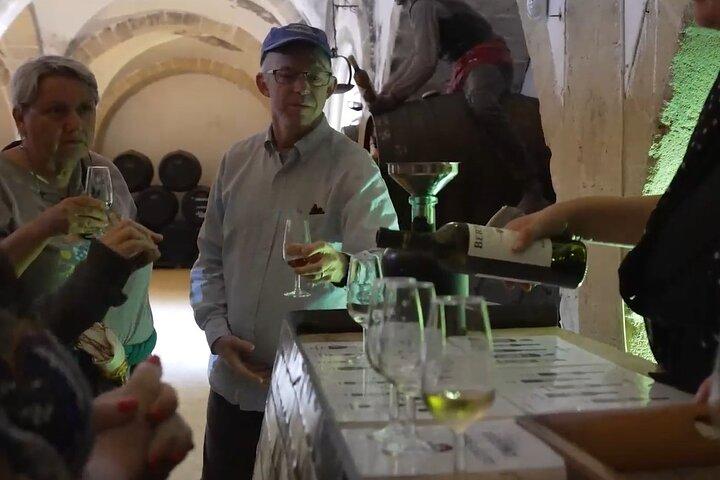 Jerez & Cadiz-wijnmakerij met proeverij en paardenshow uit Sevilla