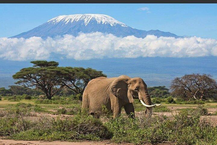 Safari de nuit au parc national d'Amboseli