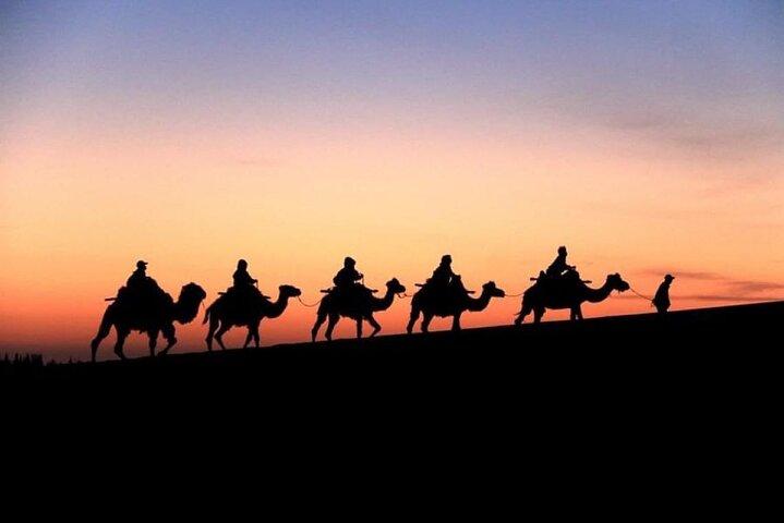 Doha by- og ørkensafariture (kombinationstur)