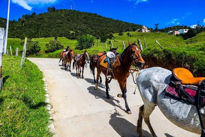 Excursion d'une journée à cheval dans la vallée de Cocora et le Salento