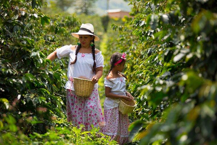 Café Farm e passeio a pé Salento